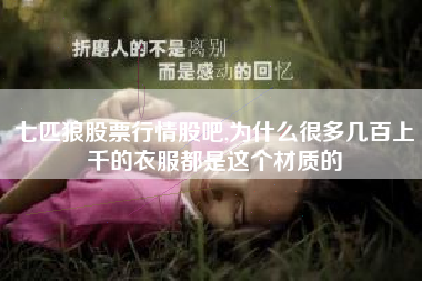 七匹狼股票行情股吧,为什么很多几百上千的衣服都是这个材质的