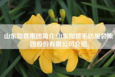山东如意集团简介,山东如意毛纺服装集团股份有限公司介绍