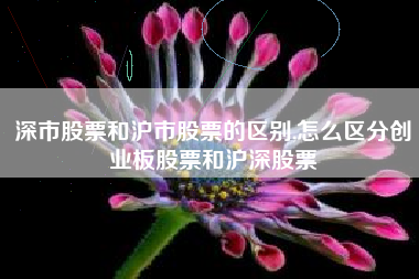 深市股票和沪市股票的区别,怎么区分创业板股票和沪深股票