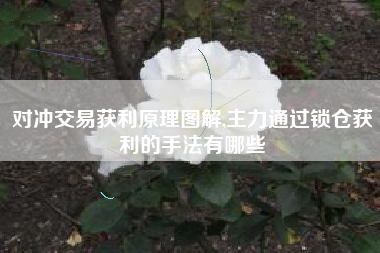 对冲交易获利原理图解,主力通过锁仓获利的手法有哪些