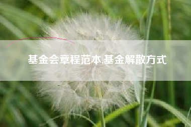 基金会章程范本,基金解散方式