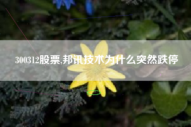 300312股票,邦讯技术为什么突然跌停