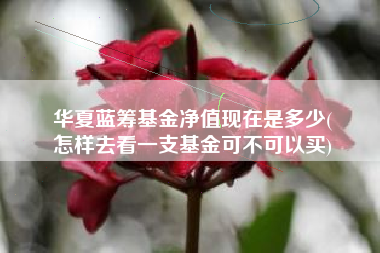 华夏蓝筹基金净值现在是多少(
怎样去看一支基金可不可以买)