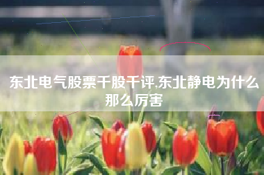 东北电气股票千股千评,东北静电为什么那么厉害