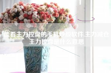 能看主力控盘的手机炒股软件,主力减仓主力控盘是什么意思