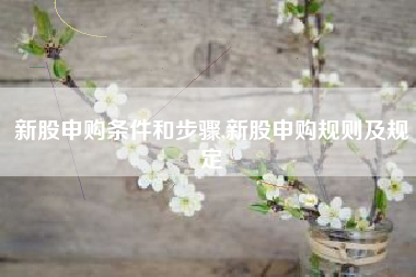 新股申购条件和步骤,新股申购规则及规定
