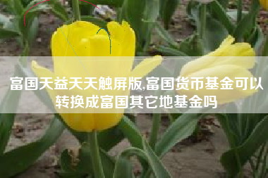 富国天益天天触屏版,富国货币基金可以转换成富国其它地基金吗