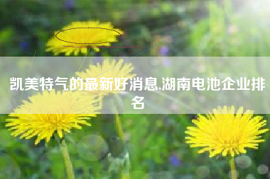 凯美特气的最新好消息,湖南电池企业排名