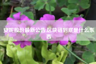 安妮股份最新公告,区块链到底是什么东西