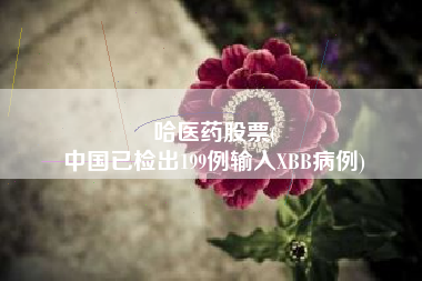 哈医药股票(
中国已检出199例输入XBB病例)