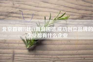 北京首钢75比71青岛国信,成功创立品牌的企业都有什么企业