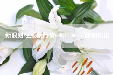新浪财经股票行情000717,000717韶钢松山