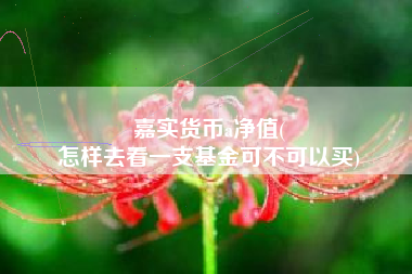 嘉实货币a净值(
怎样去看一支基金可不可以买)