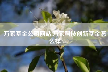 万家基金公司网站,万家科技创新基金怎么样