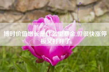 博时价值增长是什么型基金,但很快涨停板又打开了
