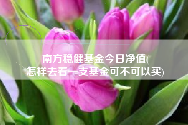 南方稳健基金今日净值(
怎样去看一支基金可不可以买)