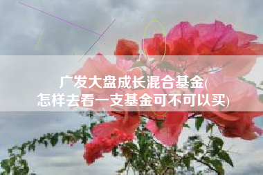 广发大盘成长混合基金(
怎样去看一支基金可不可以买) 广发大盘成长混合基金(
怎样去看一支基金可不可以买)