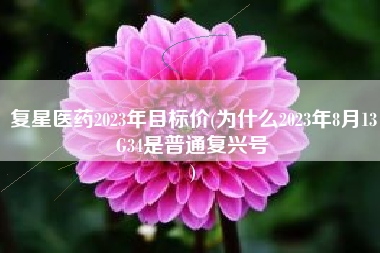 复星医药2023年目标价(为什么2023年8月13G34是普通复兴号
) 复星医药2023年目标价(为什么2023年8月13G34是普通复兴号
)