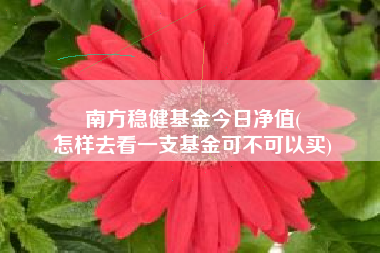 南方稳健基金今日净值(
怎样去看一支基金可不可以买)