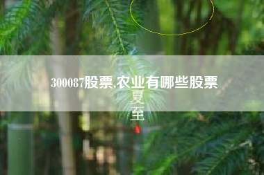 300087股票,农业有哪些股票
