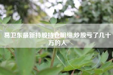 详细阅读:葛卫东最新持股持仓明细,炒股亏了几十万的人 葛卫东最新持股持仓明细,炒股亏了几十万的人