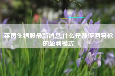 莱茵生物股最新消息,什么是涨停回马枪的盈利模式