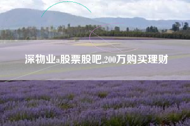 详细阅读:深物业a股票股吧,200万购买理财 深物业a股票股吧,200万购买理财