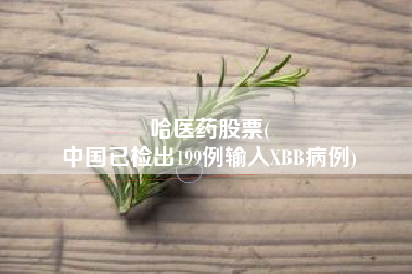 哈医药股票(
中国已检出199例输入XBB病例)