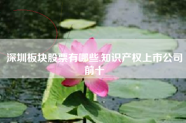 详细阅读:深圳板块股票有哪些,知识产权上市公司前十 深圳板块股票有哪些,知识产权上市公司前十