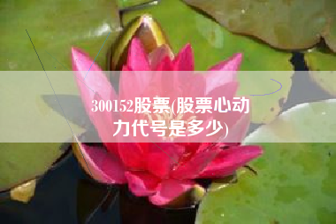300152股票(股票心动
力代号是多少) 300152股票(股票心动
力代号是多少)