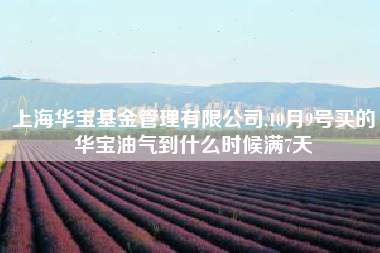 详细阅读:上海华宝基金管理有限公司,10月9号买的华宝油气到什么时候满7天 上海华宝基金管理有限公司,10月9号买的华宝油气到什么时候满7天
