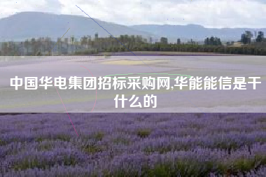 中国华电集团招标采购网,华能能信是干什么的