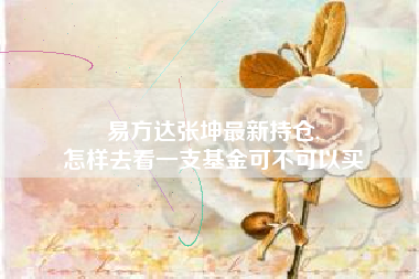 易方达张坤最新持仓,
怎样去看一支基金可不可以买