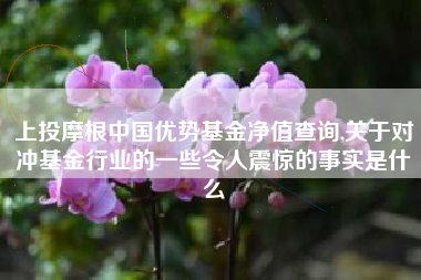 上投摩根中国优势基金净值查询,关于对冲基金行业的一些令人震惊的事实是什么