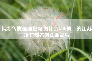 皖新传媒是国企吗,为什么GDP第二的江苏没有知名的企业品牌
