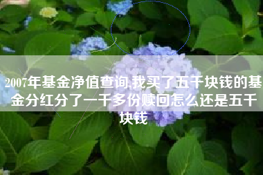 2007年基金净值查询,我买了五千块钱的基金分红分了一千多份赎回怎么还是五千块钱