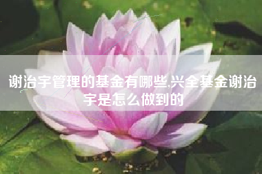 详细阅读:谢治宇管理的基金有哪些,兴全基金谢治宇是怎么做到的 谢治宇管理的基金有哪些,兴全基金谢治宇是怎么做到的