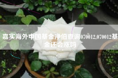 详细阅读:嘉实海外中国基金净值查询070012,070012基金还会涨吗 嘉实海外中国基金净值查询070012,070012基金还会涨吗