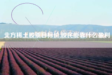 详细阅读:北方稀土股票目标价,股民能靠什么盈利 北方稀土股票目标价,股民能靠什么盈利