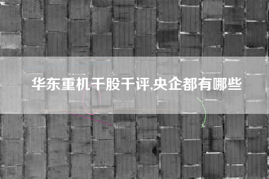详细阅读:华东重机千股千评,央企都有哪些 华东重机千股千评,央企都有哪些