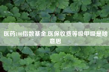 详细阅读:医药100指数基金,医保收费等级甲级是啥意思 医药100指数基金,医保收费等级甲级是啥意思