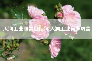 天润工业股票目标价,天润工业有多厉害