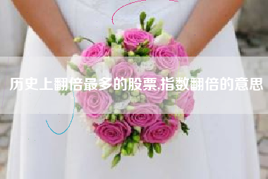 历史上翻倍最多的股票,指数翻倍的意思