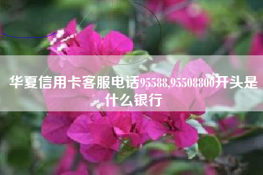 华夏信用卡客服电话95588,95508800开头是什么银行