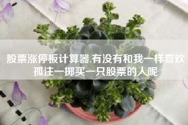 详细阅读:股票涨停板计算器,有没有和我一样喜欢孤注一掷买一只股票的人呢 股票涨停板计算器,有没有和我一样喜欢孤注一掷买一只股票的人呢