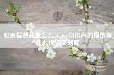 详细阅读:股票指数基金怎么买,roe却很高的指数有什么投资策略呢 股票指数基金怎么买,roe却很高的指数有什么投资策略呢