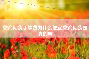 详细阅读:徽商期货手续费为什么便宜,徽商期货是真的吗 徽商期货手续费为什么便宜,徽商期货是真的吗