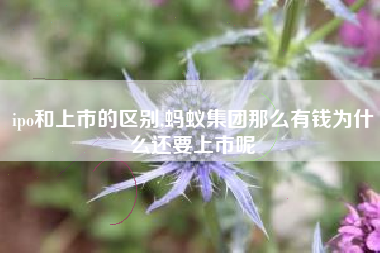 详细阅读:ipo和上市的区别,蚂蚁集团那么有钱为什么还要上市呢 ipo和上市的区别,蚂蚁集团那么有钱为什么还要上市呢