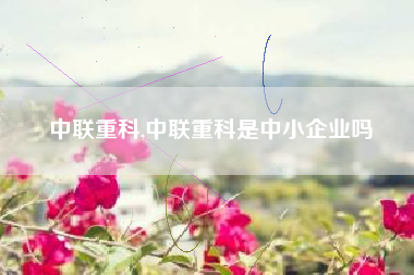 详细阅读:中联重科,中联重科是中小企业吗 中联重科,中联重科是中小企业吗