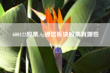 600122股票,4g通信板块股票有哪些